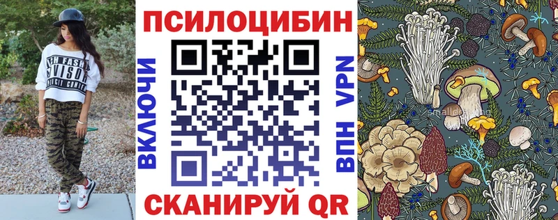 Псилоцибиновые грибы Cubensis  Купить  Волжский 